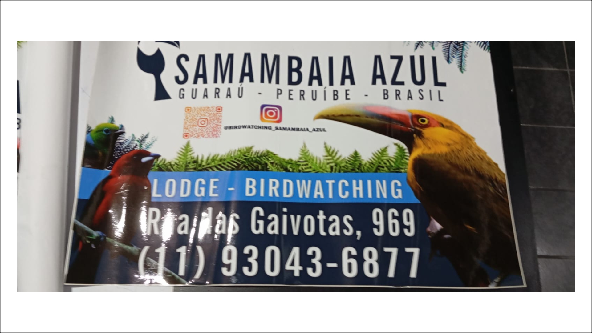 adesivo impressão digital